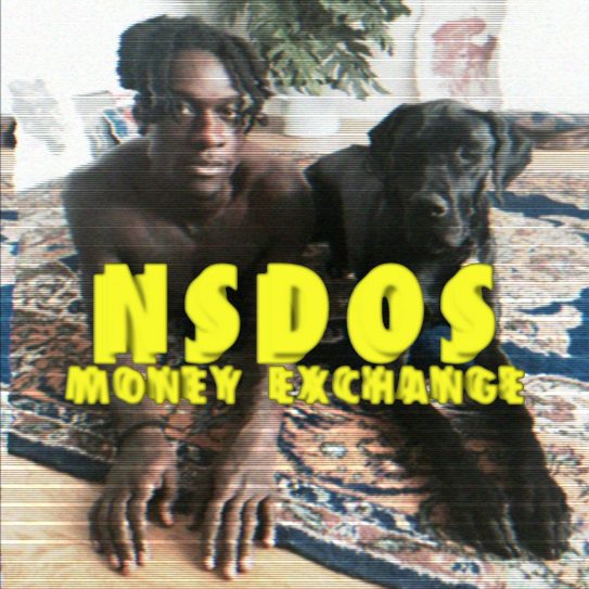NSDOS – MONEY EXCHANGE