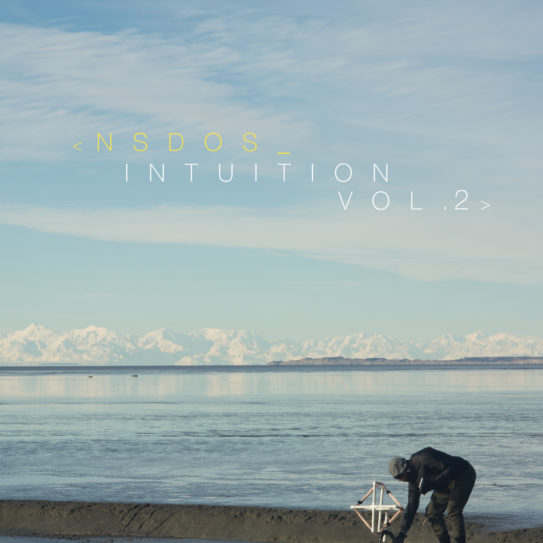 NSDOS – ALBUM INTUITION VOL. 2